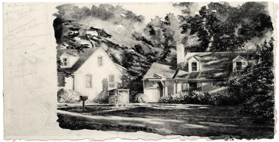 Summer Shadows image