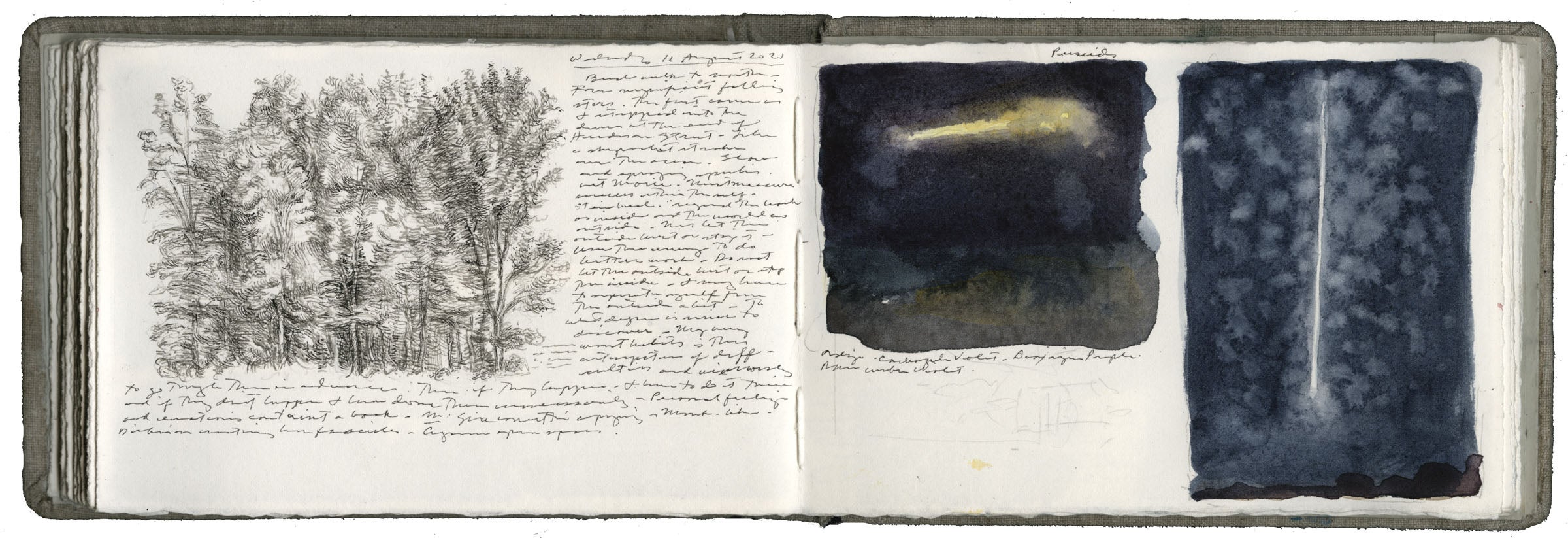 Study after Leonardo and Sketches of Perseid Meteors image