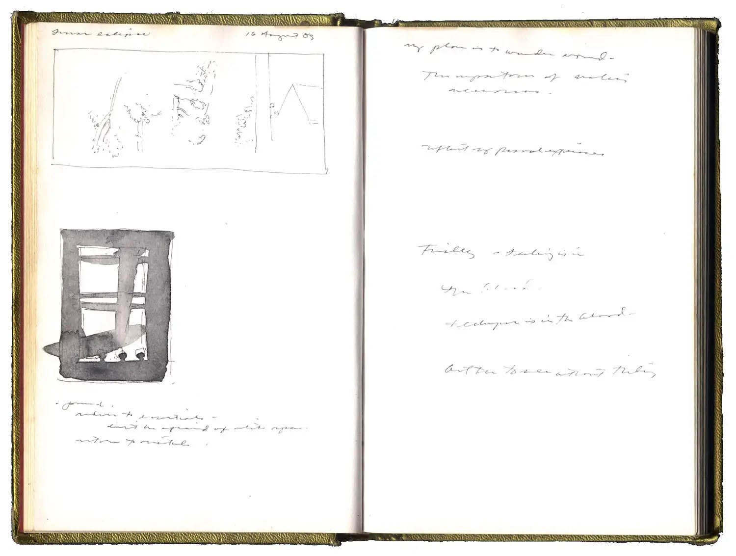 book63studyfortomatoes2sm.rJ7Ii8bDlx.jpg