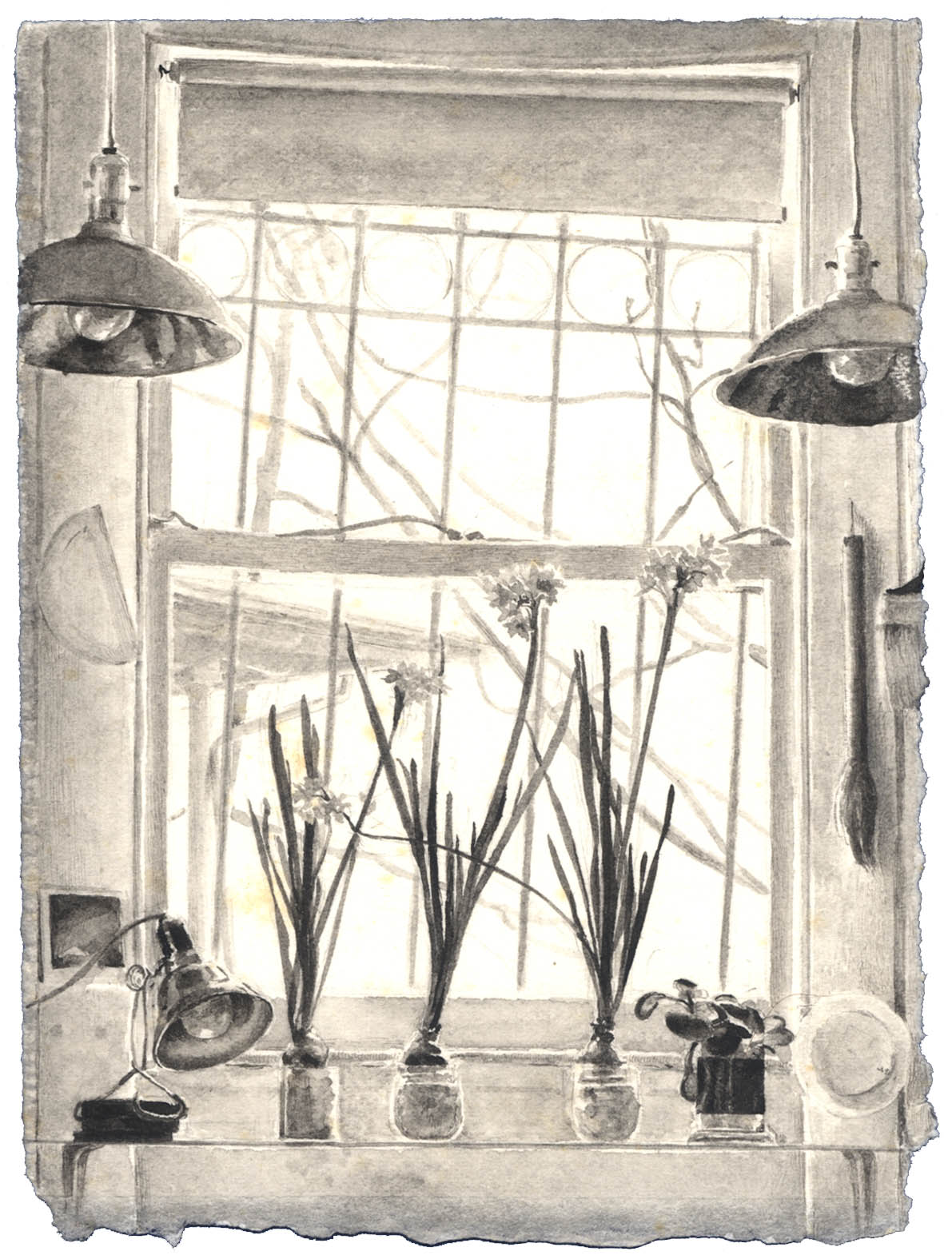 Window with Paper Whites image