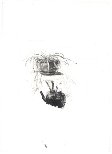 Spider Plant and Black Teapot image