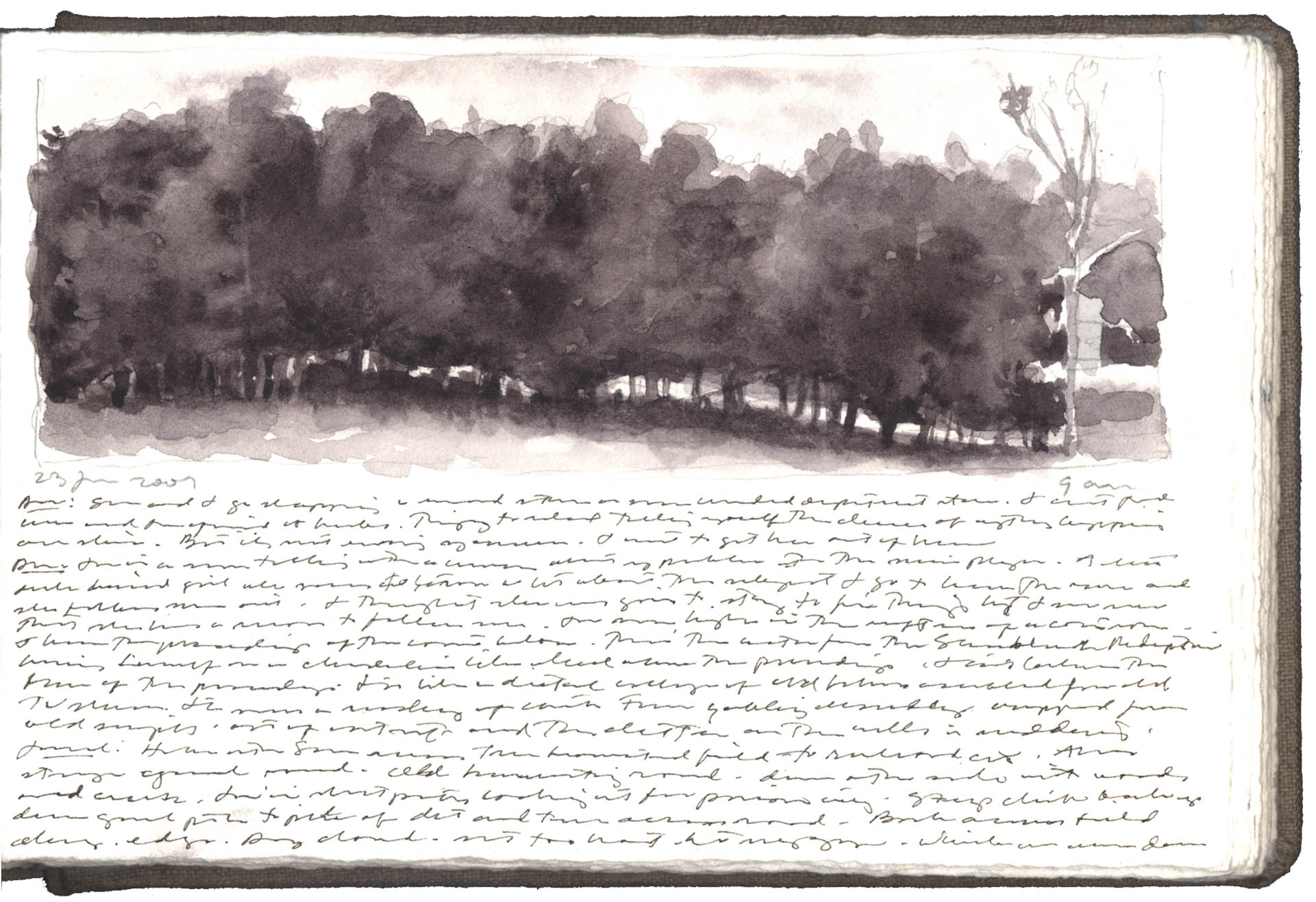 Line of Trees, Keysville, Virginia image