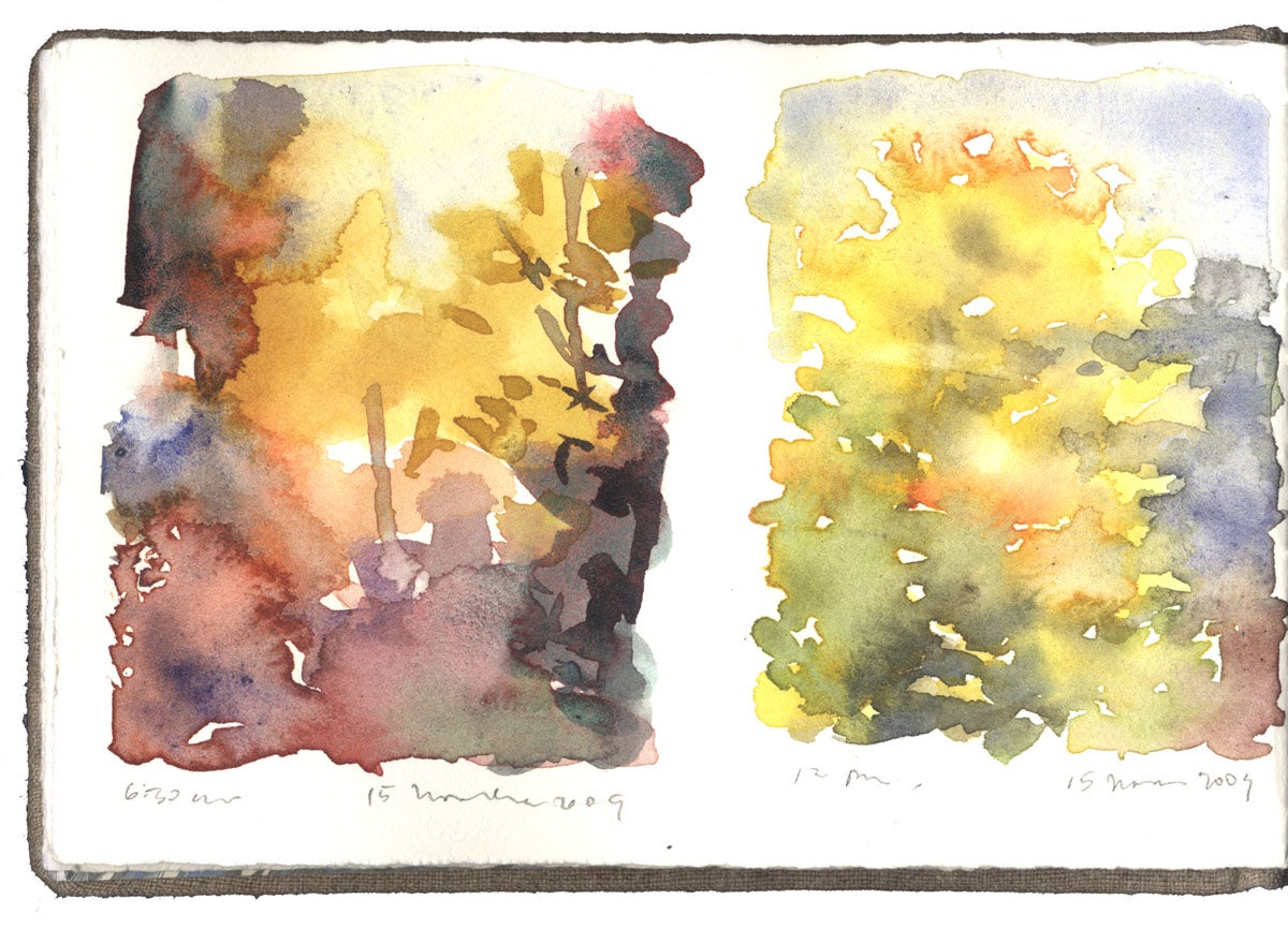 Two Studies of Fall Color image